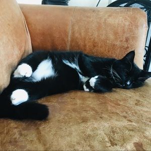 Meet your Posher, Lauraann